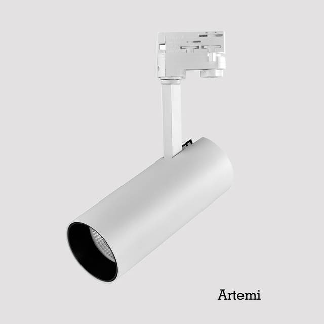 Artemi Dali 20/30/40W Integrated Led Black COB Track Lighting LED Spotlights Kit Private Housing For Commercial Shop Lighting